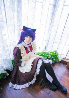 猫咪最新域名_DVD免费播放
